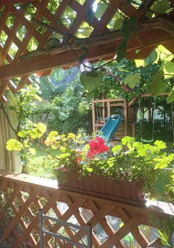 a garden with two potted plants and a playground at Czakó Vendégház és Nyaralóudvar in Szilvásvárad
