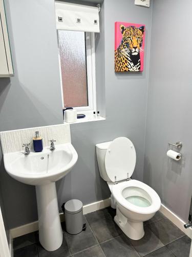 a bathroom with a toilet and a sink at Durham city free onsite parking in Sheepscar