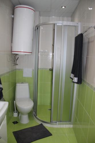 a green bathroom with a toilet and a shower at Karchevi Apartment in Sveti Vlas