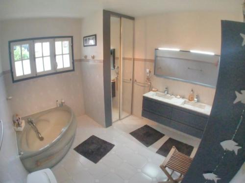 a large bathroom with a tub and a sink at Ti'Kaz d'Hôte Chez JP in Saint-Pierre