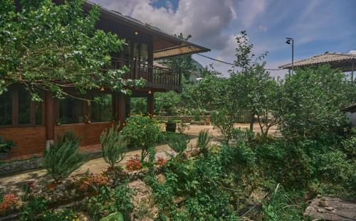 Taman di luar Lagom Home - Bamboo Forest