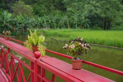 two potted plants sitting on a red bridge at Happy Tam Coc Ecolodge in Ninh Binh