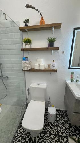 a bathroom with a white toilet and a sink at Fully Furnished and Modern House in Mauritius in Quatre Bornes