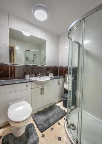 a bathroom with a toilet and a sink and a shower at Sharon Apartments Back Hilton in Aberdeen