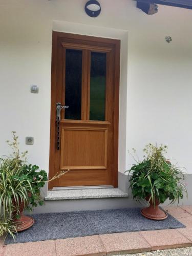 a wooden door on a building with two potted plants at Apartments Pajek & Pajčevina on the Hayrack in Dobje pri Lesičnem