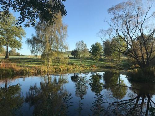 a pond in a park with trees and grass at HexenburgbeiDresden 2 Zimmer Architektenwohnung mit eigener Sauna, Whirlwanne und Kamin - Nähe Sächsische Schweiz Dresden in Großharthau
