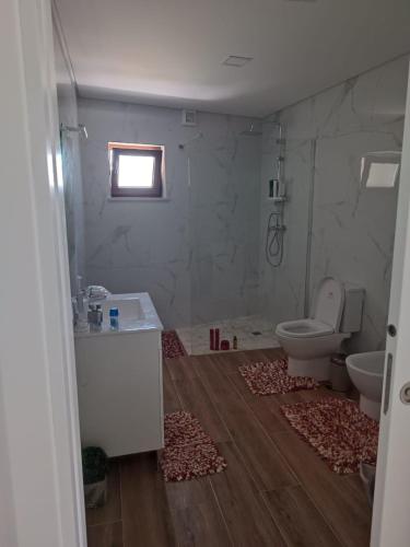 a bathroom with a toilet and a sink at Casa do Avô Carriço in Cantanhede