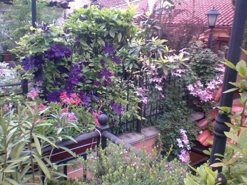 a garden filled with lots of plants and flowers at Hotel Alafrangite in Plovdiv