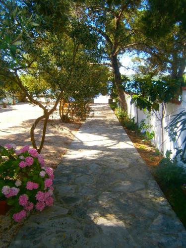 Gallery image of Bed & Breakfast Pansion Rade in Pirovac