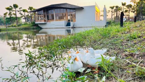 Permandangan sungai dekat dengan resort