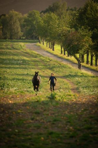 a man walking a horse down a dirt road at TinyHousebeiDresden klein aber fein, beste Alleinlage direkt am Naturteich, große Terrasse - Nähe Sächsische Schweiz und Dresden in Großharthau