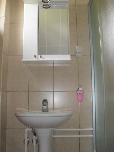 a bathroom with a sink and a mirror at Guest House Baranin Pitomine in Žabljak