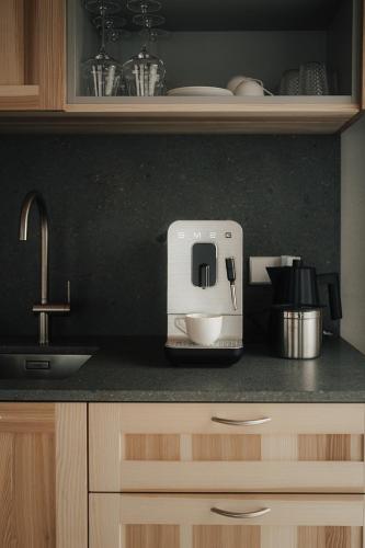 a kitchen counter with a mixer and a sink at Chalet Herol in Luson