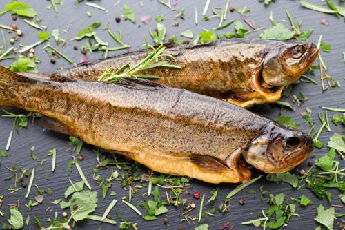 two fish sitting next to each other on a table at Hotel Schmausemühle in Gondershausen