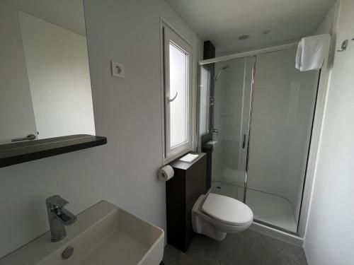 a bathroom with a toilet and a shower and a sink at Vrnjačko Vrelo Resort in Novo Selo