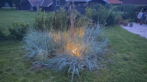 a garden with tall grass in a yard at Moderne sommerhus, 8 senge, 250 mtr til sandstrand in Slagelse