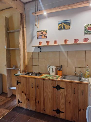 Dapur atau dapur kecil di Dwerniczówka