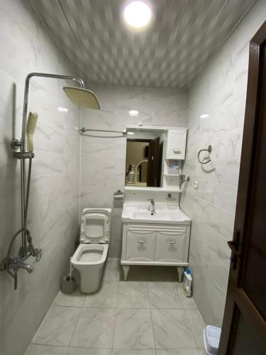 une salle de bain avec un lavabo, des toilettes et un miroir dans l'établissement Hotel AISI, à Koutaïssi