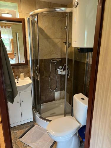a bathroom with a shower and a toilet at Domek pod Kamieńcem in Odrzykoń