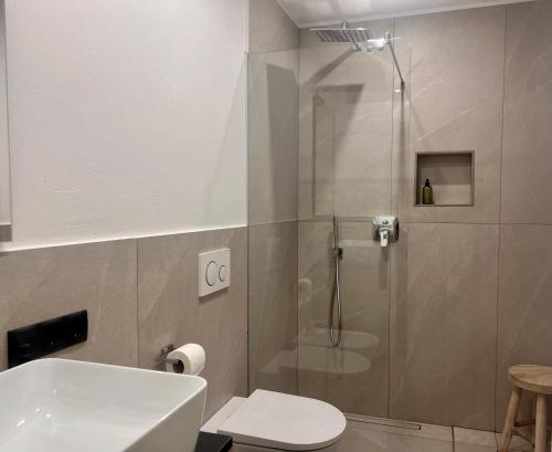 a bathroom with a shower with a toilet and a sink at Apartments Complojer in Reischach