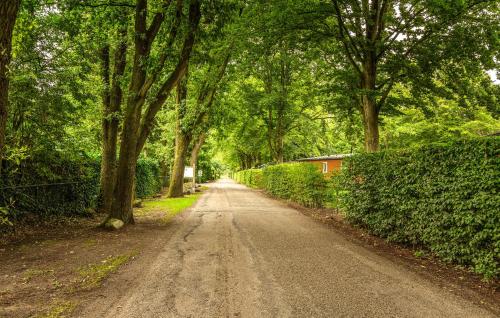a dirt road with trees on either side at Nice Home In Erm With Wifi in Erm