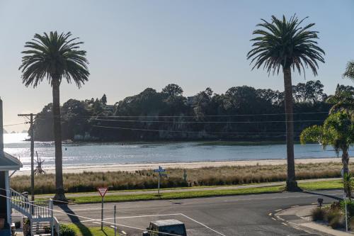 a street with palm trees next to a beach at Crow's Nest Apartments in Whitianga