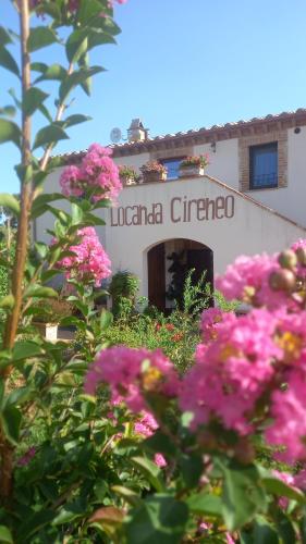 Το κτήριο όπου στεγάζεται  το bed & breakfast
