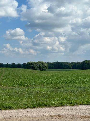 a field of green grass with trees in the background at Half-timbered house in Österlen in Sjöbo