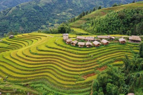 a farm on the side of a hill at Bình Minh homestay in Hoàng Su Phì