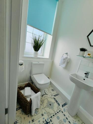 a bathroom with a toilet and a sink and a window at The courtyard bar, kitchen, rooms in Falkirk