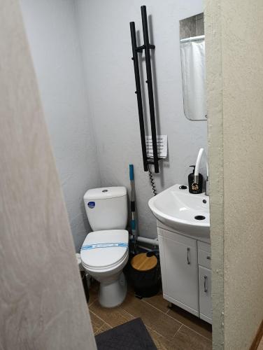 une petite salle de bain avec toilettes et lavabo dans l'établissement Zdanevuch, à Rivne
