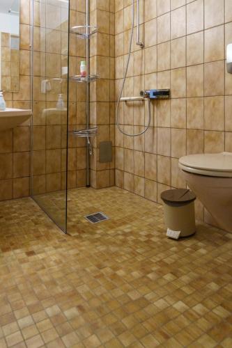 a bathroom with a shower and a toilet at Hotel Scholz in Hitzacker