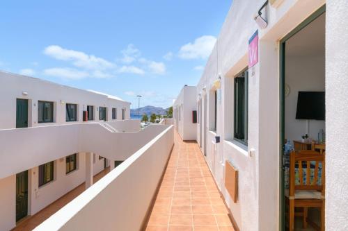 Bella Vista - Cactus