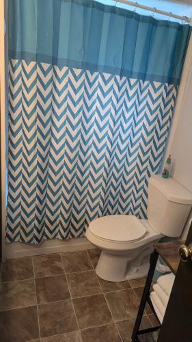 a bathroom with a toilet and a shower curtain at Cozy Tiny Home in Farmington hills Michigan in Farmington Hills