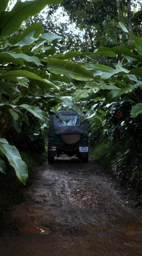 a small car parked on a dirt road under trees at Mcafe Private Pool Plantations by Greenescapes in Kenichira