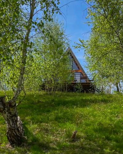 a house in the middle of a field with a tree at Dobrede - будиночки під лісом in Dubrynychi