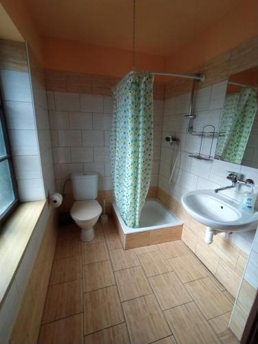een badkamer met een toilet, een wastafel en een douche bij Chalupa u Čarodějky in Vernířovice