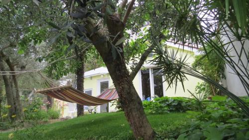 Apartment Casetta