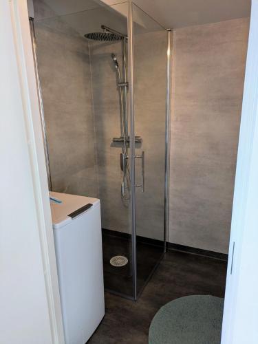 a shower with a glass door in a bathroom at Cozy apartment near salty baths! in Uddevalla
