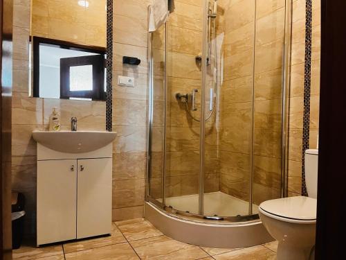 a bathroom with a shower and a sink and a toilet at Hotel Lilia in Włoszczowa