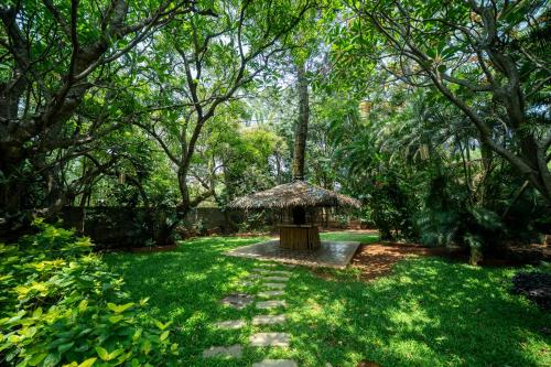 a garden with a small umbrella in the grass at The Amore Collective in Bengaluru