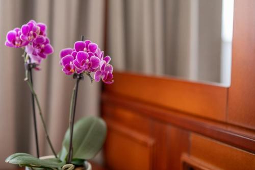 two purple flowers in a vase on a table at Bakony Resort - a Felnőttbarát Hotel - Szarvaskút Vendégpark in Zirc