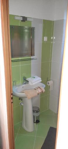 a green bathroom with a sink and a mirror at Pensiunea Fortuna in Sovata