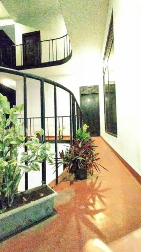 a room with two plants in a building at Kelaniya Guest House in Peliyagoda