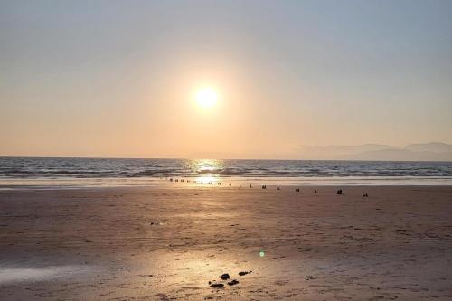 a group of birds on the beach at sunset at Colleen Bawn Cottage Gap Of Dunloe Kerry in Killarney