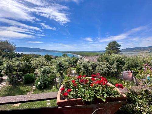 a view of a garden with flowers on a bench at Casa Oliva Ansedonia in Ansedónia