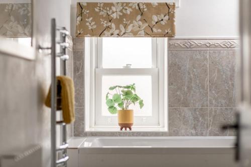 a window with a potted plant in a bathroom at Kilmore Paws and Relax in Comrie