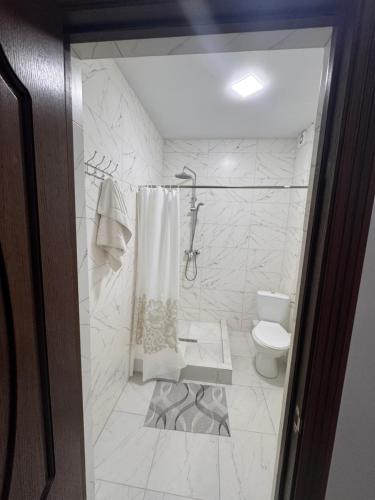 a white bathroom with a toilet and a shower at Spa Hotel Alpin in Solotvyno