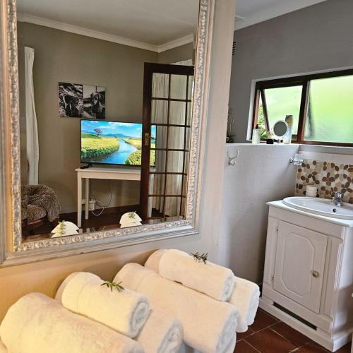 a bathroom with a mirror and a sink at Pet-Friendly Courtyard Suite Tsitsikamma Gardens in Sanddrif