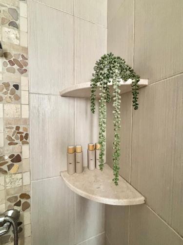 a shelf with a plant in the corner of a bathroom at Modern Apt in Paphos Port - pool & 50 m to the sea in Paphos